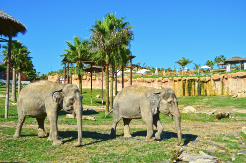 terra natura y aquanatura descuento 004