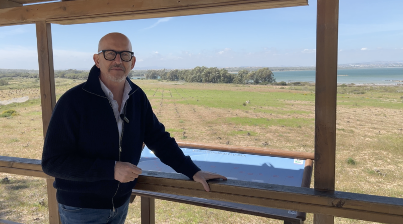 hotel playas de torrevieja 013